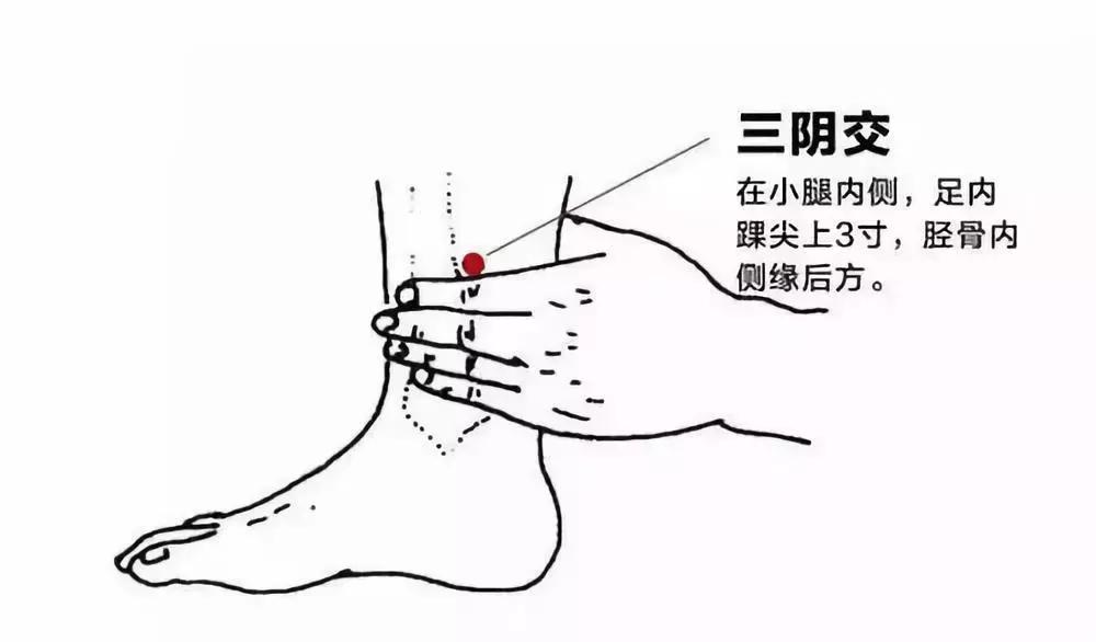 三阴的准确位置图片和功效，补肾壮阳多按摩6个部位