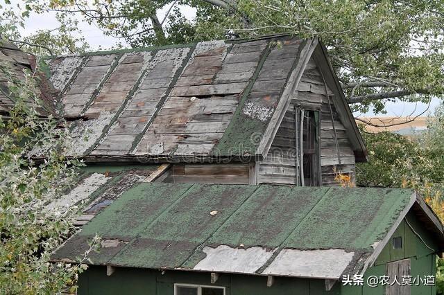 农村每人宅基地多少（农村宅基地每人多少平米）