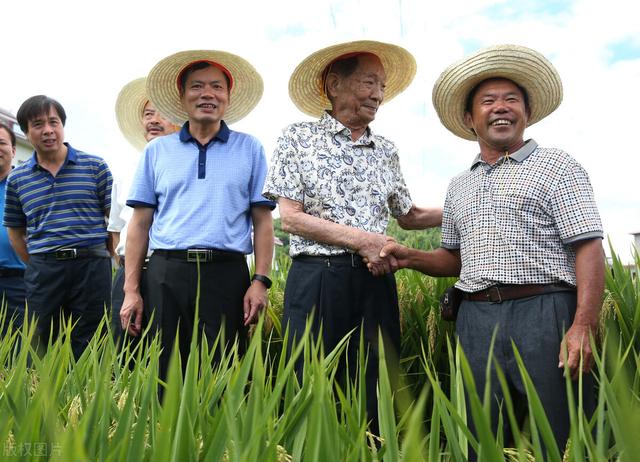 你怎么看87岁的老人，老年人87岁有什么说法