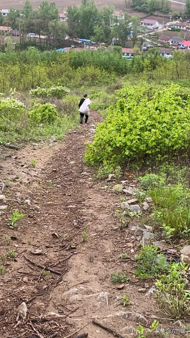 你生活在城市还是农村，你愿意住在城市还是农村