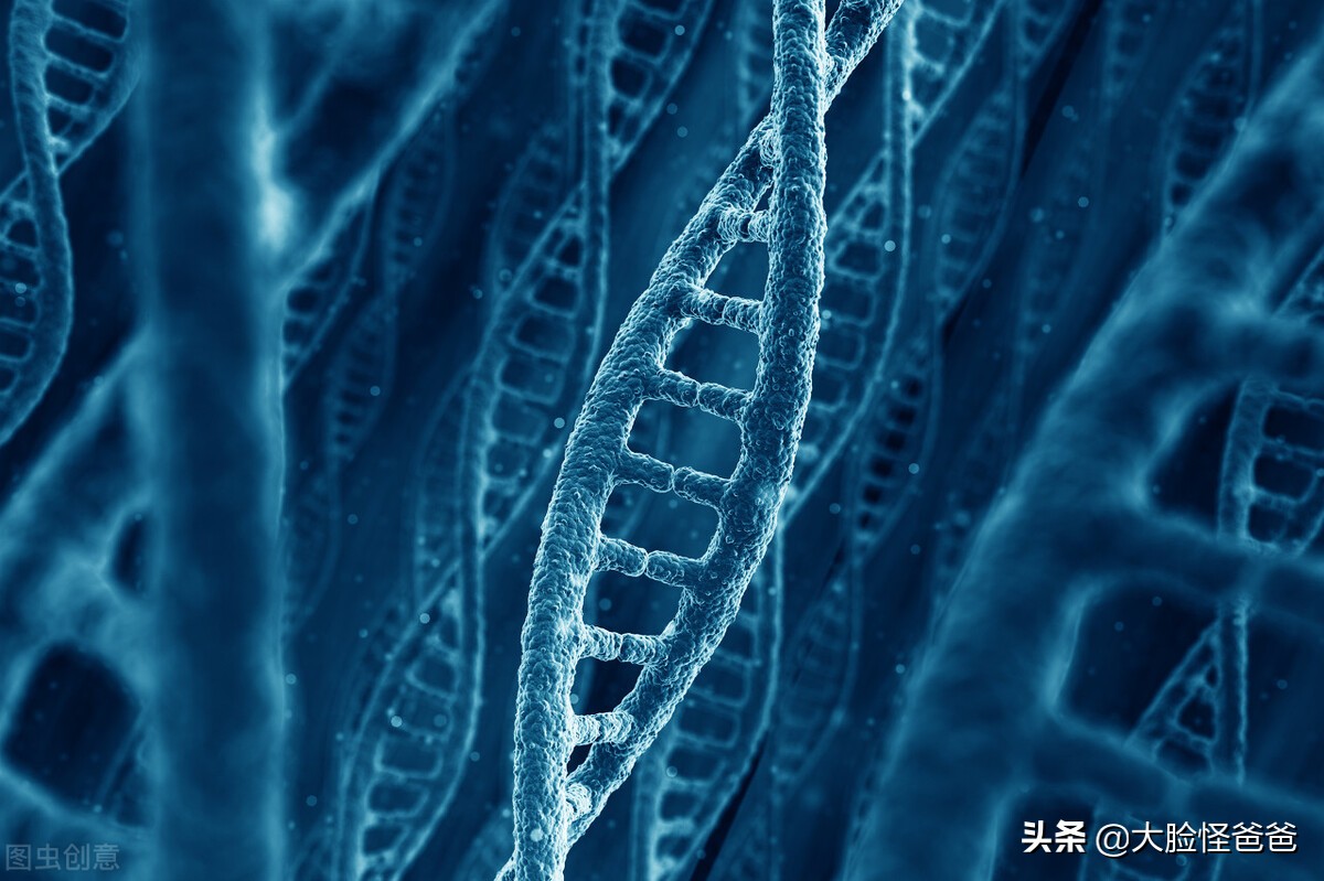 刀剑封魔录之上古传说秘籍（上古传说升级秘籍）