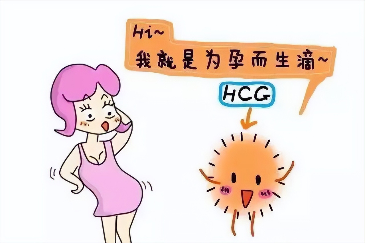 hcg值多少是宫外孕参考值（hcg超过1000就排除宫外孕）