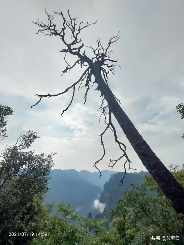 人死后是不是永远消失了（人去世就永远没了）