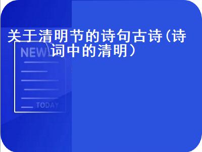 关于清明节的诗句古诗大全（清明节的古诗10首）