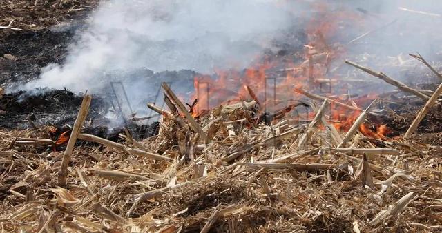 农村秸秆处理的问题，秸秆利用的五种方式